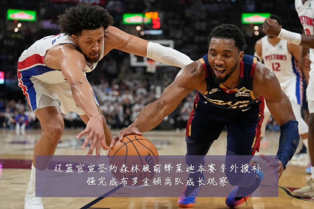 辽篮官宣签约森林狼前锋莱迪本赛季外援补强完成布罗金顿离队成长观察
