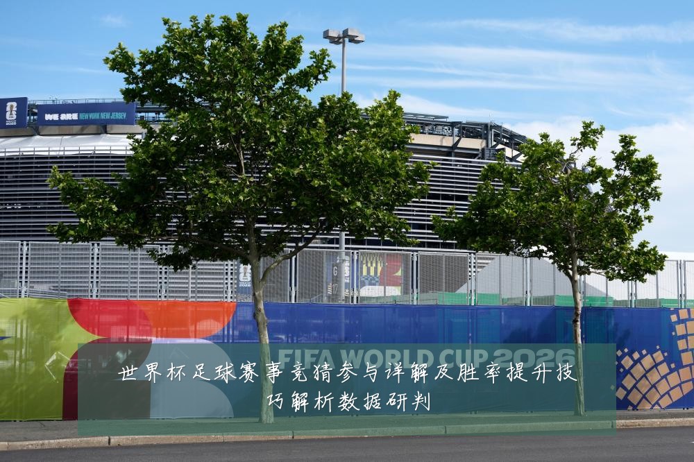 世界杯足球赛事竞猜参与详解及胜率提升技巧解析数据研判