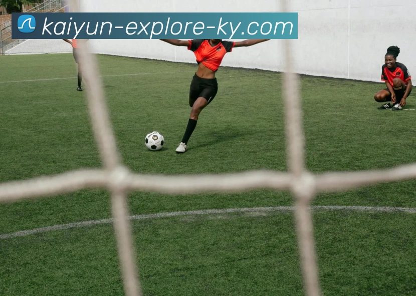 开云APP 高清赛事图